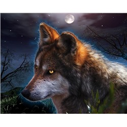 Картина по номерам 40х50 - Ночной волк