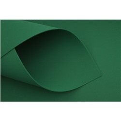Фоамиран китайский (зеленый) 2мм , 40см*60см упак. 10шт