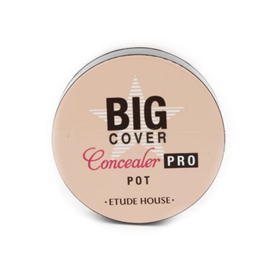 ETUDE HOUSE Big Cover Pot Concealer PRO Маскирующий консилер