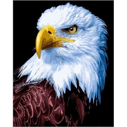 Картина по номерам 40х50 - Американский орел