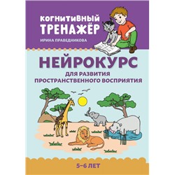 Нейрокурс для развития пространственного восприятия. 5-6 лет