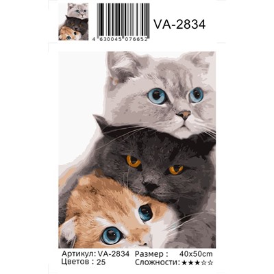 Картина по номерам 40х50 - Три котика