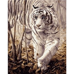 Картина по номерам 40х50 - Белый тигр