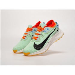 Кроссовки Nike Pegasus Trail 2