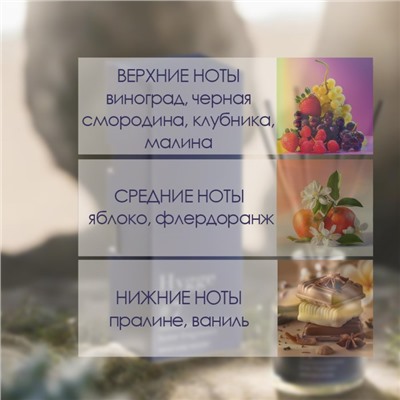 Диффузор "Hygge" ароматический, 50 мл, виноград мускат