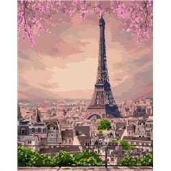 Картина по номерам 40х50 - Париж
