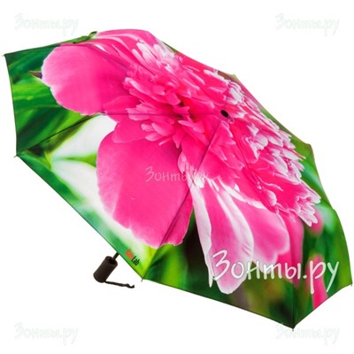 Зонт "Пион" RainLab 012