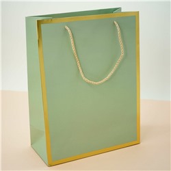 Пакет подарочный (M) «Classic line», green (33*25*12)