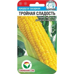 Кукуруза Тройная сладость Сибирские семена