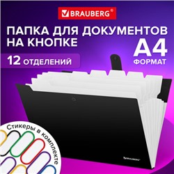 Папка-органайзер на кнопке 12 отделений, BRAUBERG "Extra", А4, черная с белым, 271930