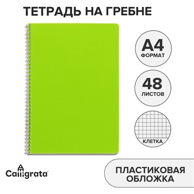 Тетрадь на гребне A4 48 листов в клетку Calligrata Салатовая, пластиковая обложка, блок офсет