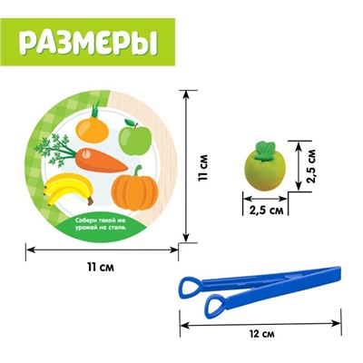 Набор для сортировки «Вкусная тарелка», по методике Монтессори, 20 заданий, 3+