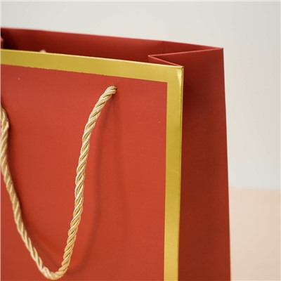 Пакет подарочный (S) «Classic line», red (24.5*19.5*9.5)