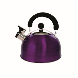 Чайник Добрыня DO-2903V Фиолет обьем 2.5л со свистком  (12) оптом