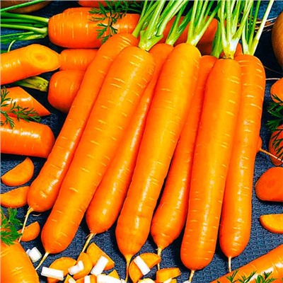 0074 Морковь Детская сладость 2гр