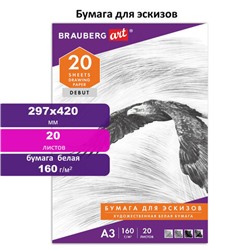 Папка для рисования БОЛЬШОГО ФОРМАТА А3, 20 л., 160 г/м2, BRAUBERG, 297х420 мм, "Орел", 125228