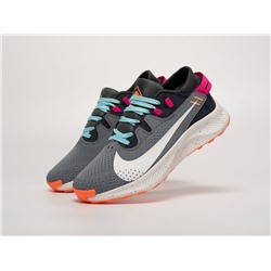 Кроссовки Nike Pegasus Trail 2