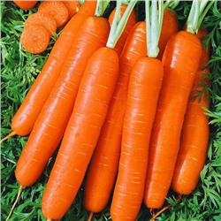 0565 Морковь Несравненная 2гр