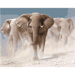 Картина по номерам 40х50 - Стадо слонов