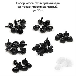 Набор носов №3 в органайзере винтовые пластик цв.черный, уп.58шт