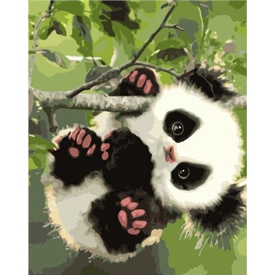 Картина по номерам 40х50 - Малыш панда