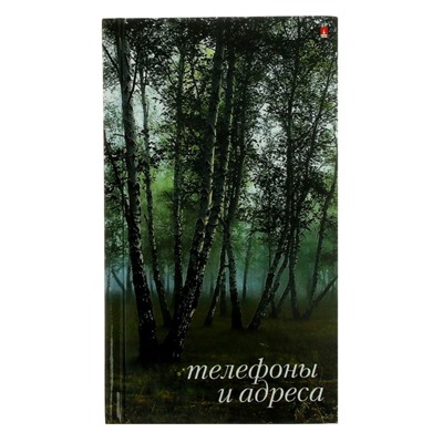 Телефонная книга А6, 64 листа, обложка ламинированный картон, блок 80 г/м2, МИКС