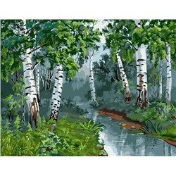 Картина по номерам 40х50 - Ручей в берёзовом лесу