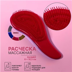 Расчёска массажная, 8 × 18,5 см, PVC коробка, цвет МИКС