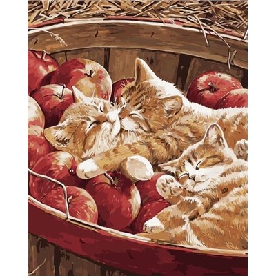 Картина по номерам 40х50 - Котята и яблоки