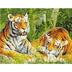 Картина по номерам 40х50 - Два тигра