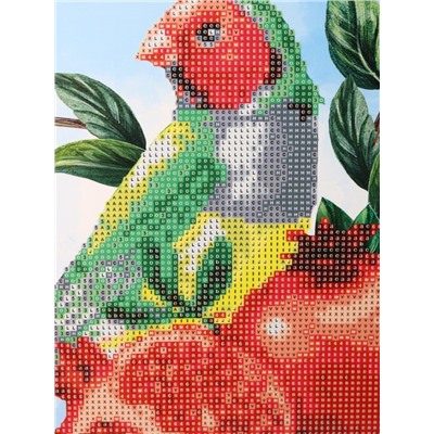 Алмазная мозаика "Попугай", частичная выкладка, пластиковая подставка, 21*25 см