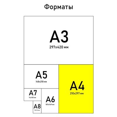 Тетрадь 96 листов клетка, А4 на скрепке,«1 сентября: JUNGLE», обложка мелованный картон 215 гр белизна 96%