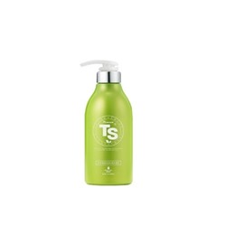 TS Shampoo Premium TS Treatment 500g