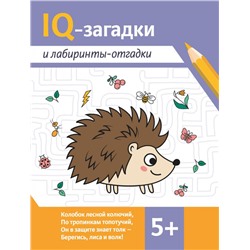 IQ-загадки и лабиринты-отгадки. 5+