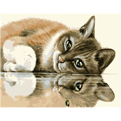 Картина по номерам 40х50 - Мечтающий котик