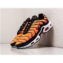 Кроссовки Nike Air Max Plus TN