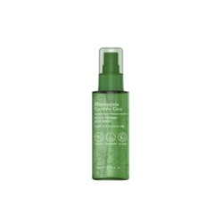 TONY MOLY Houttuynia Cordata Cica Quick Mist Serum 110 ml