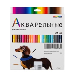 Акварельные карандаши, 24 цвета, WP24Разноцветный