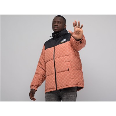 Куртка The North Face x Gucci