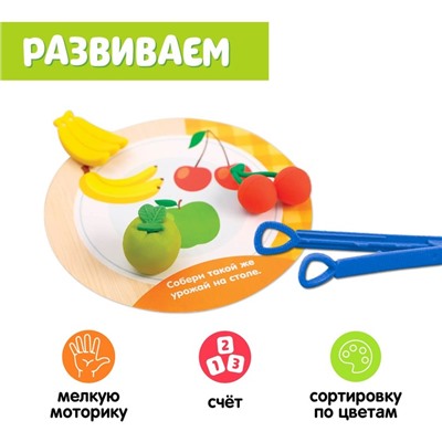 Набор для сортировки «Вкусная тарелка», по методике Монтессори, 20 заданий, 3+