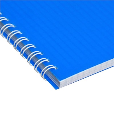 Тетрадь на гребне A4 60 листов в клетку Calligrata Синяя, пластиковая обложка, блок офсет
