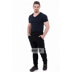 Спортивные брюки мужские AL-1451 черный