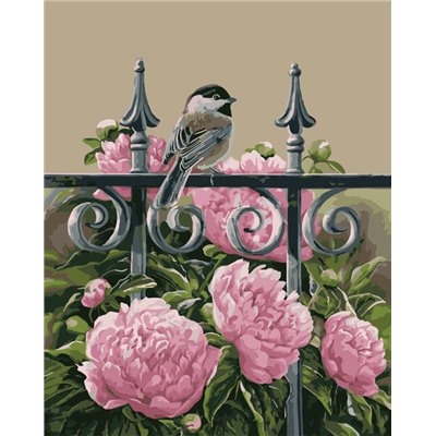 Картина по номерам 40х50 - Птичка на заборе