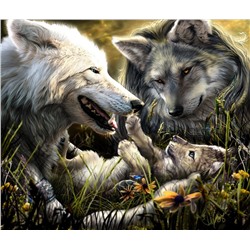 Картина по номерам 40х50 - Волчья семья