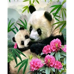 Картина по номерам 40х50 - Панда с детенышем