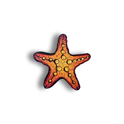 Морская звезда  - Брошь/ значок - 101