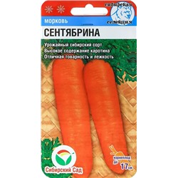 Семена Морковь Сентябрина