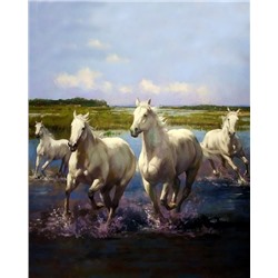 Картина по номерам 40х50 - Белые лошади