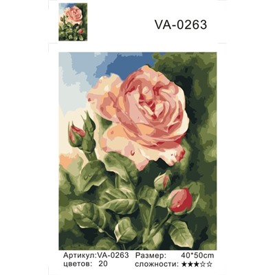 Картина по номерам 40х50 - Распустившаяся роза