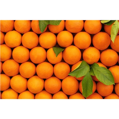Апельсин ( цена за 1 кг, окончательный вес и цена по факту)
